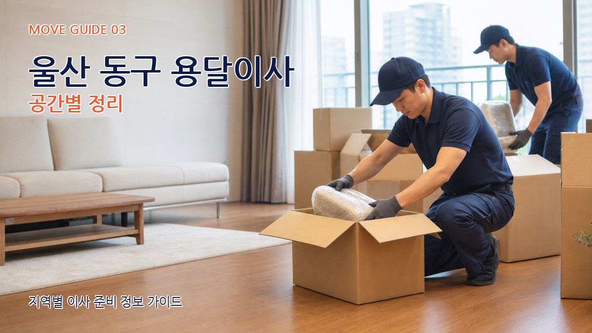 울산 동구 용달이사 공간별 정리